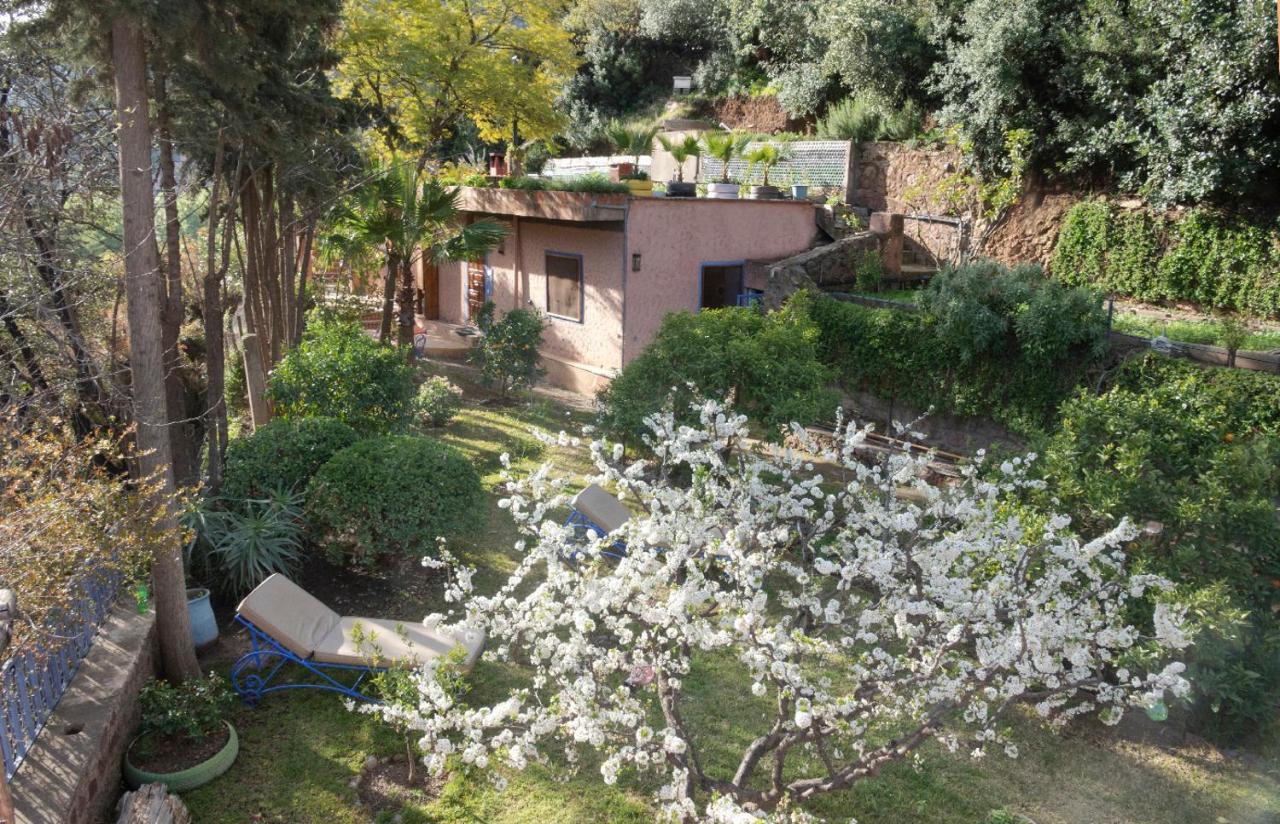 Auberge Le Maquis Aghbalou Buitenkant foto